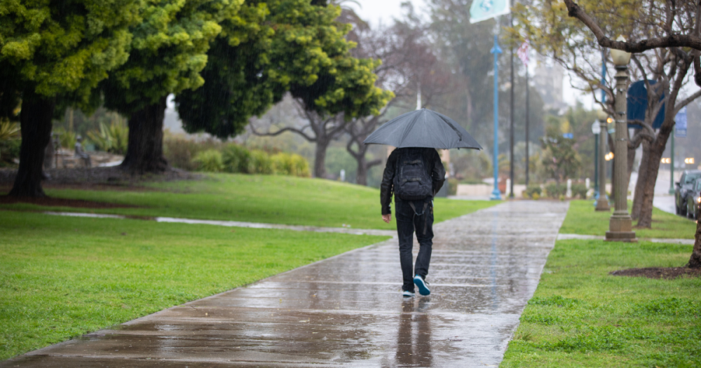 person with a backpack and umbrella, walking in the rain, surrounded by trees.