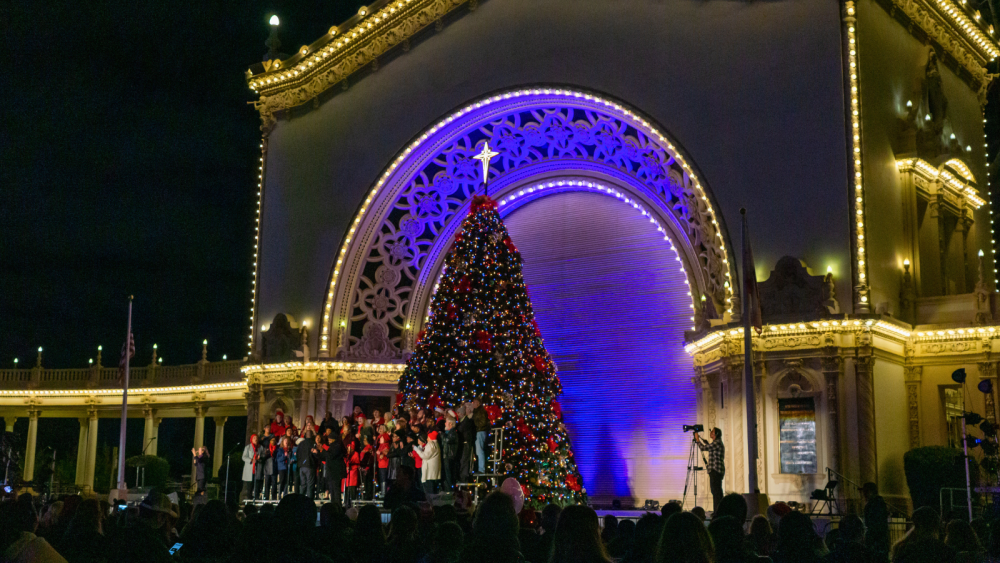 christmas tree on stage with performers
