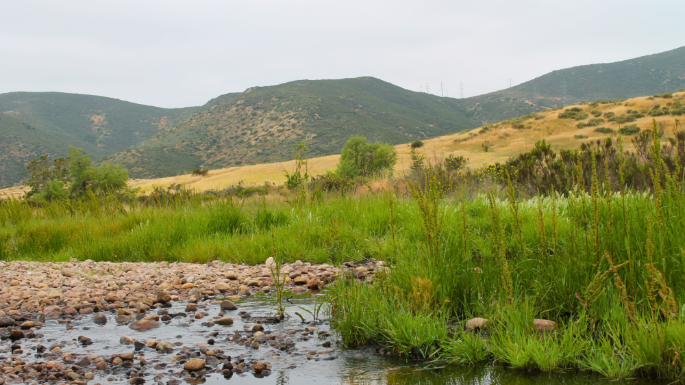 mission trails