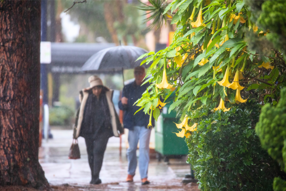 Couple in the Rain