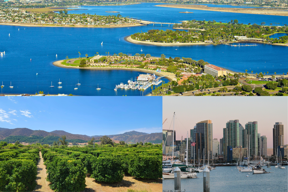 city of san diego vistas