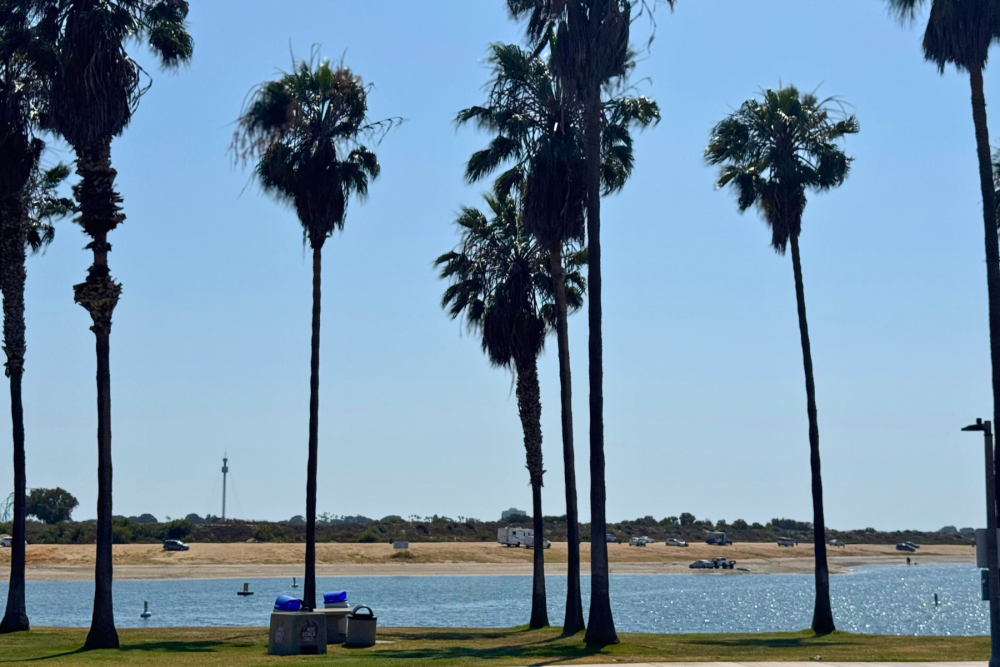 Mission Bay park