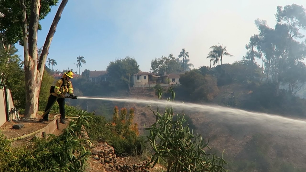 Fire Fighter Fighting Brush Fire