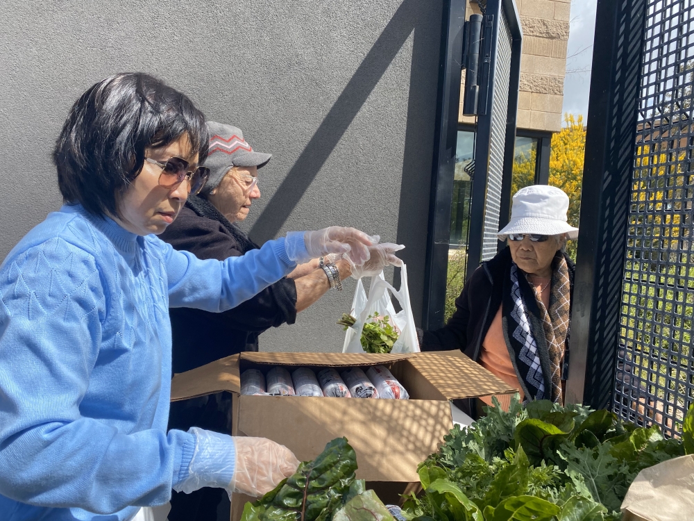 Open air market with elderly female shoppers.
