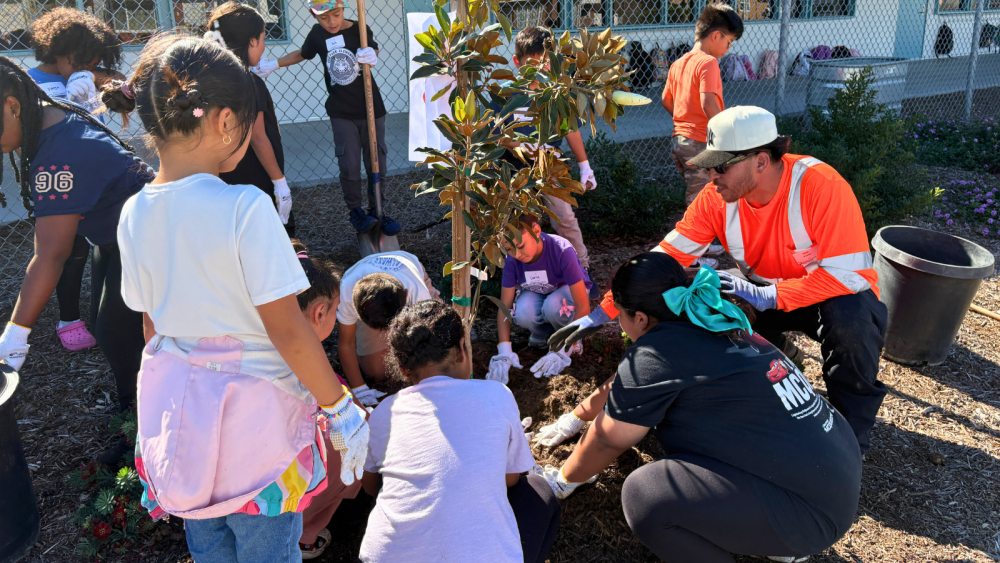 Photo of staff and children planting trees