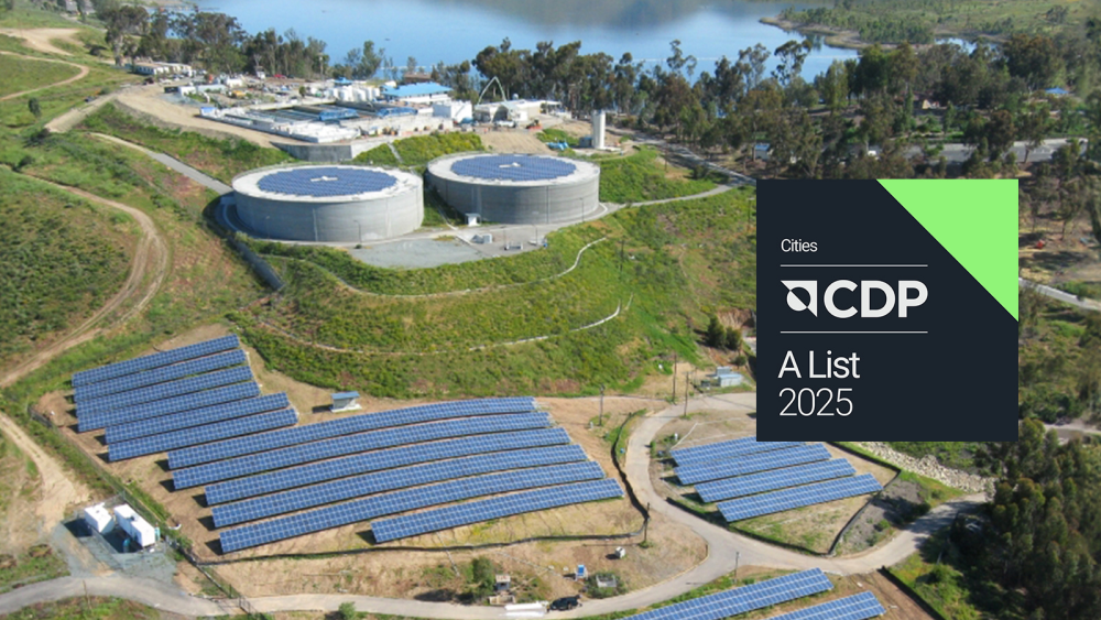 A series of solar panels on a grassy background