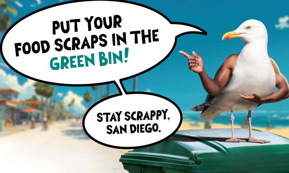 seagull with human arms on a green trash bin with word bubbles that read put your food scraps in the green bin! stay scrappy san diego.