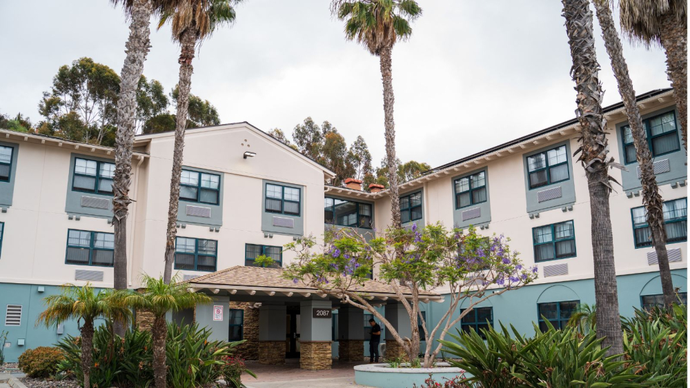 outside of building with windows and palm trees in front