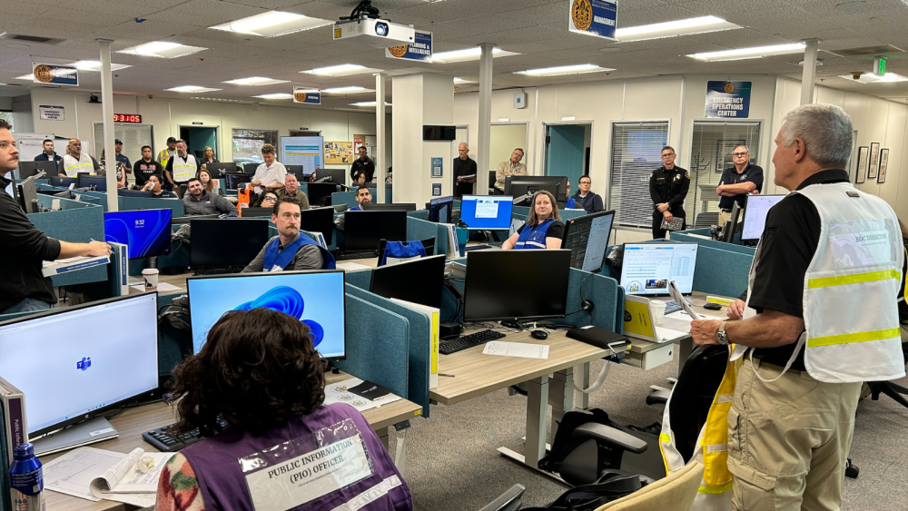 Room full of employees working at computers