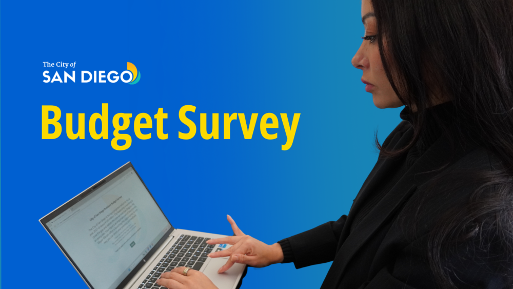 Woman taking budget survey at computer