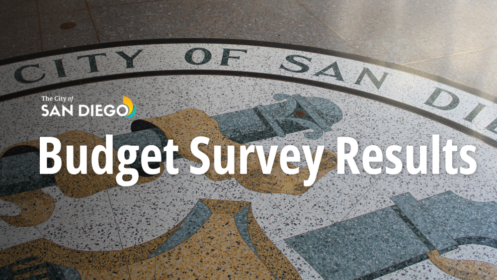 Image of City logo with "budget survey results" text overlapping