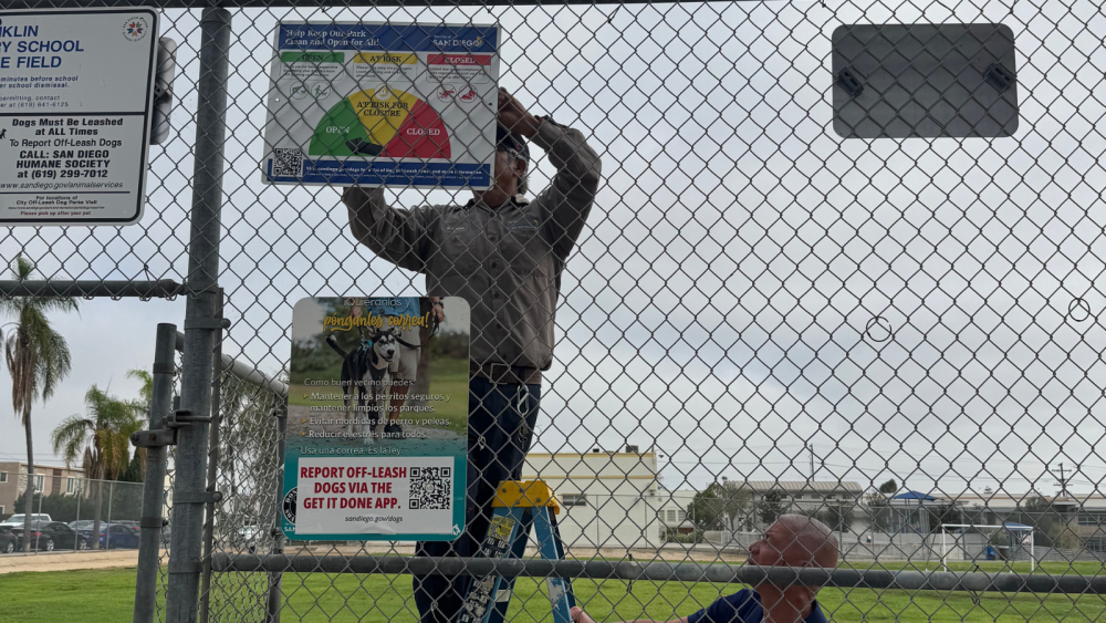Staff installing sign