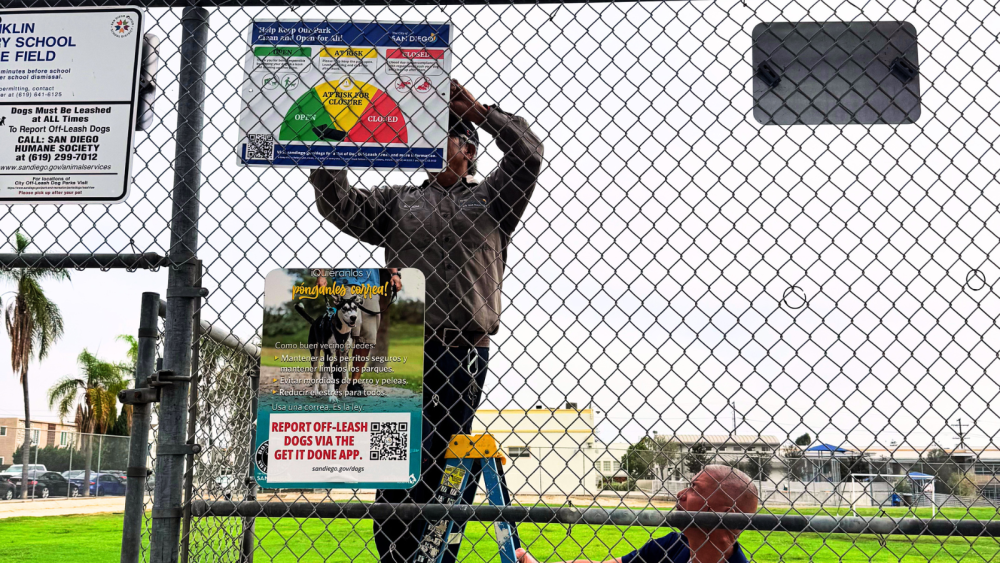 Staff installing sign