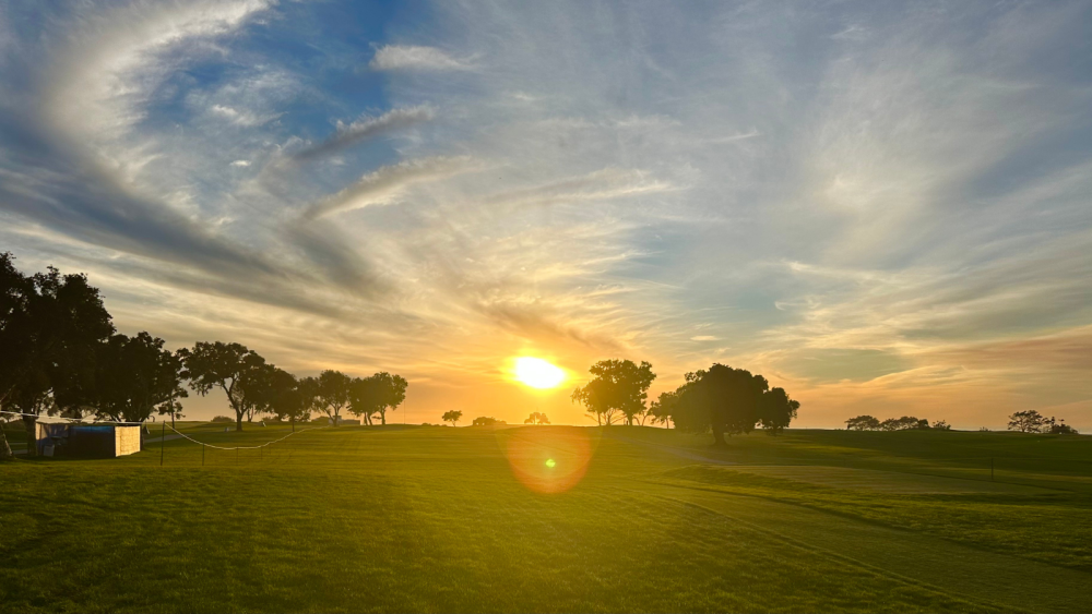 Sunset and grass