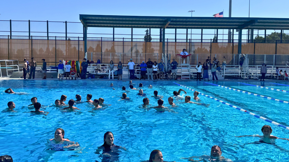 People swimming in a pool