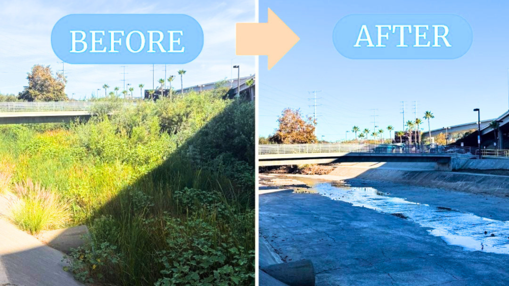 Photos of the Sorrento Valley Channel before and after restoration