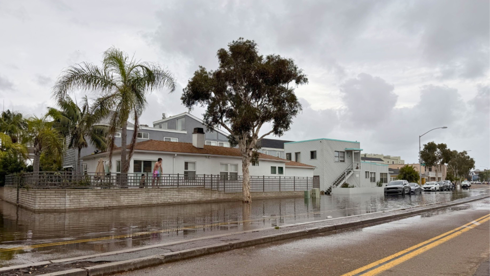 Wet road alongside homes