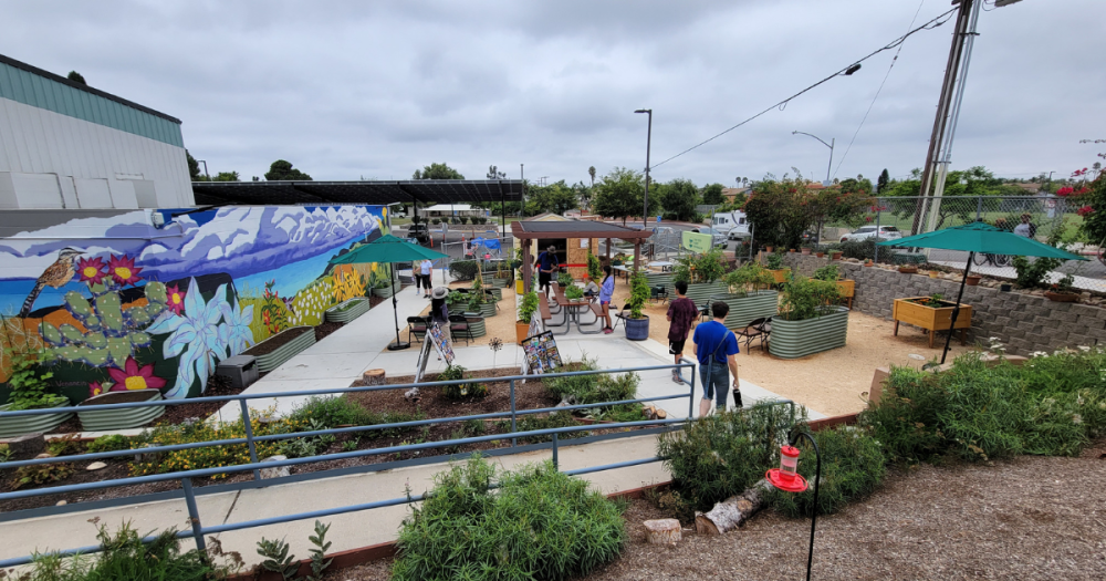 garden with a mural wall and accessible garden beds, benches and shade coverings