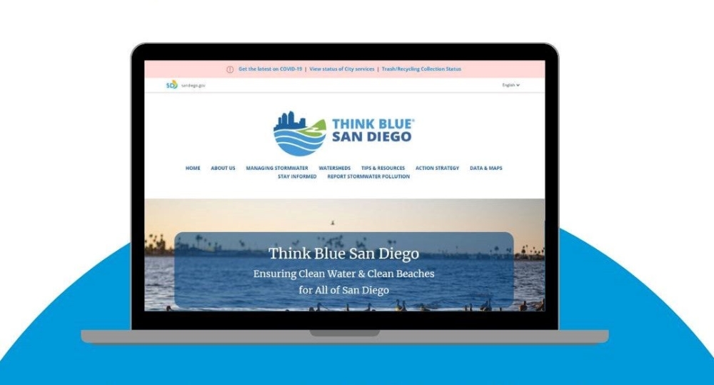 Computer screen showing Think Blue Website