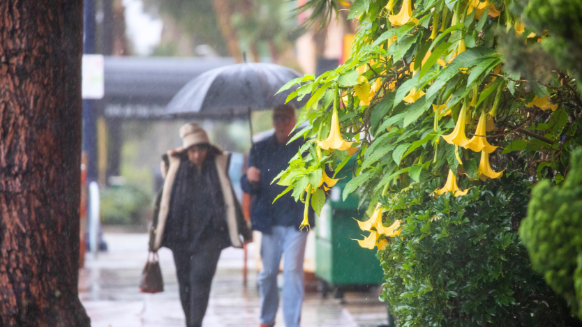 Couple in the Rain