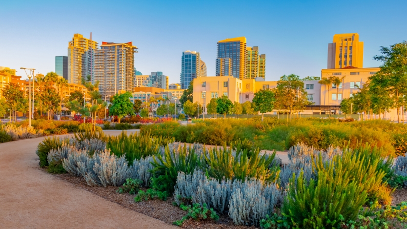 Downtown garden