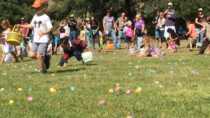 Easter Egg Hunt