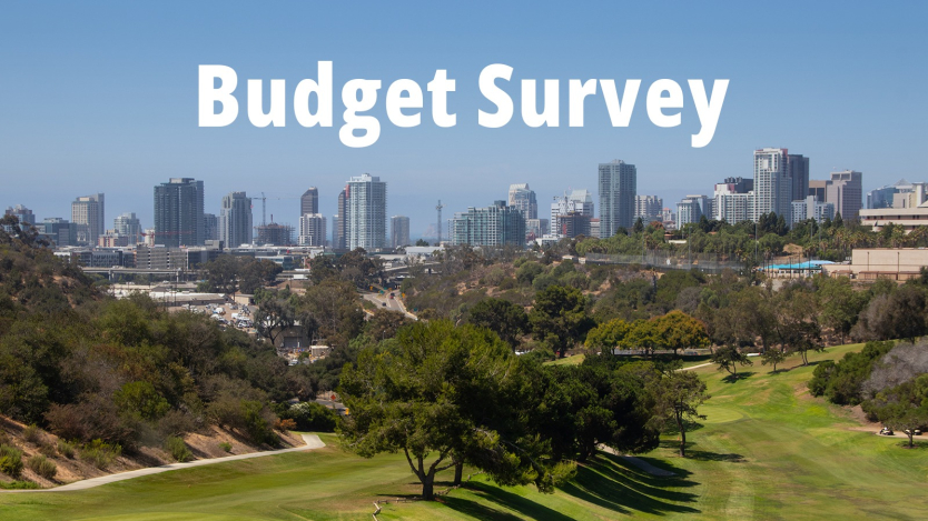 Photo of SD skyline with Budget Survey text
