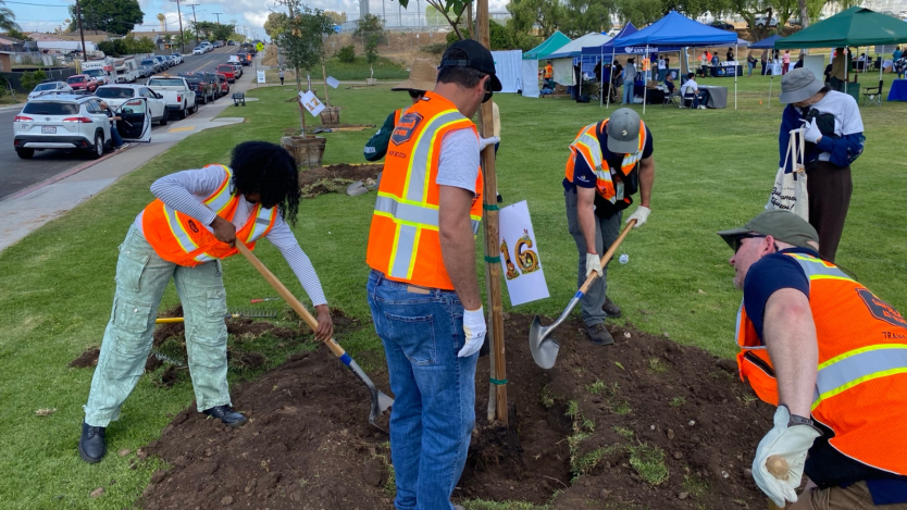 Group of people planting a tree