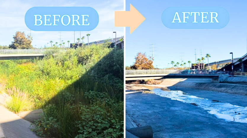 Photos of the Sorrento Valley Channel before and after restoration